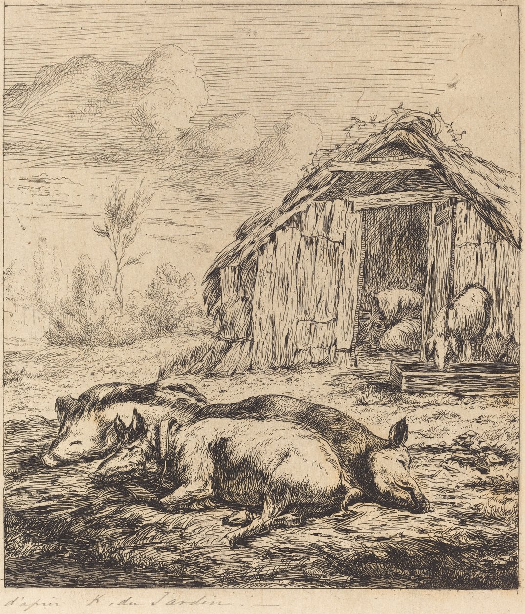 Tři prasata ležící před stájí (Tři prasata ležící před chlívem) od Charles Meryon after Karel Dujardin