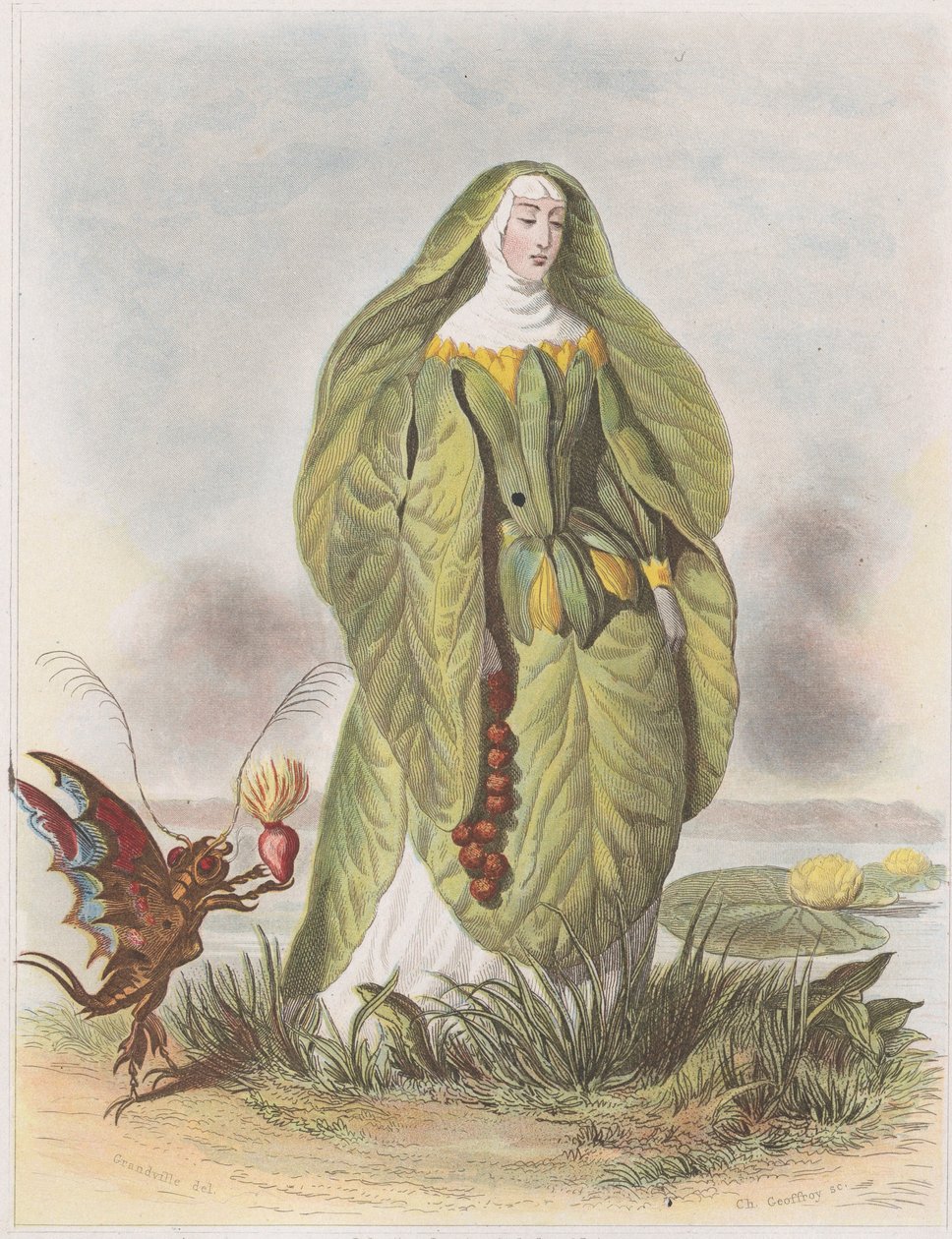 Leknín, z Les Fleurs Animées, 1847. od Charles Michel Geoffroy