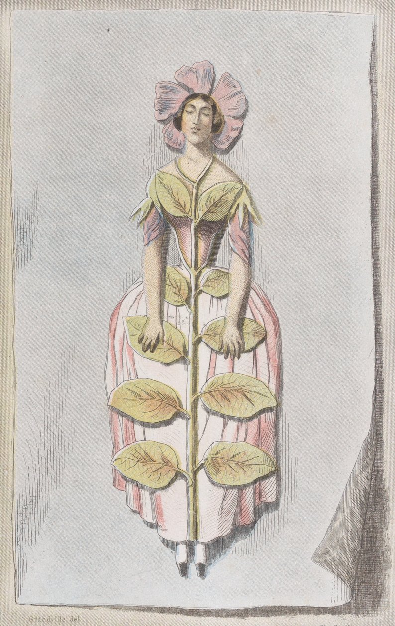 Vysušený brčál, z Les Fleurs Animées, 1847., 1847. od Charles Michel Geoffroy