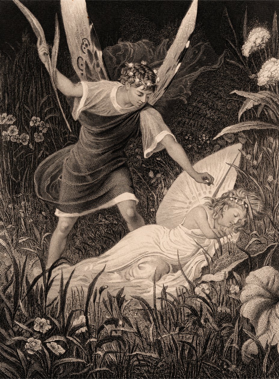 Oberon a Titania - "Sen noci svatojánské", dějství II, scéna III od Charles Mottram