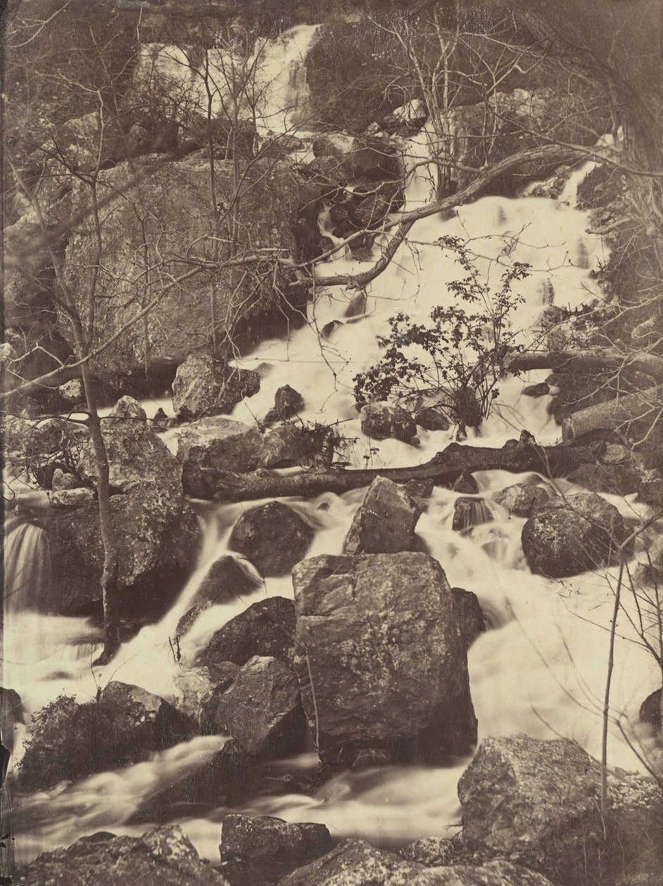 [Stromy a vodopády], 1860-65. od Charles Nègre