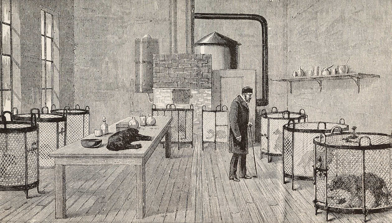 Psi v klecích v laboratoři Louise Pasteura (1822-1895), francouzského chemika a biologa, Paříž, Francie, rytina z L