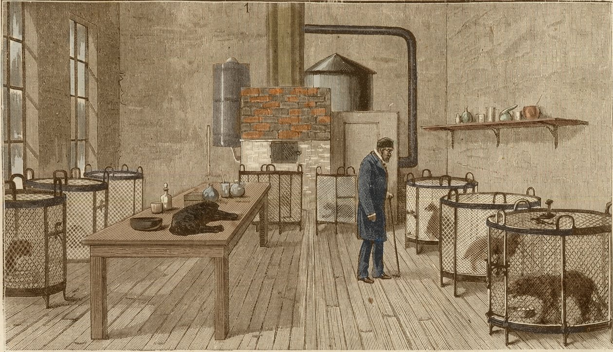 Psi v klecích v laboratoři Louise Pasteura od Charles Paul Renouard