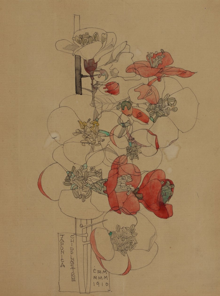Japonica od Charles Rennie Mackintosh