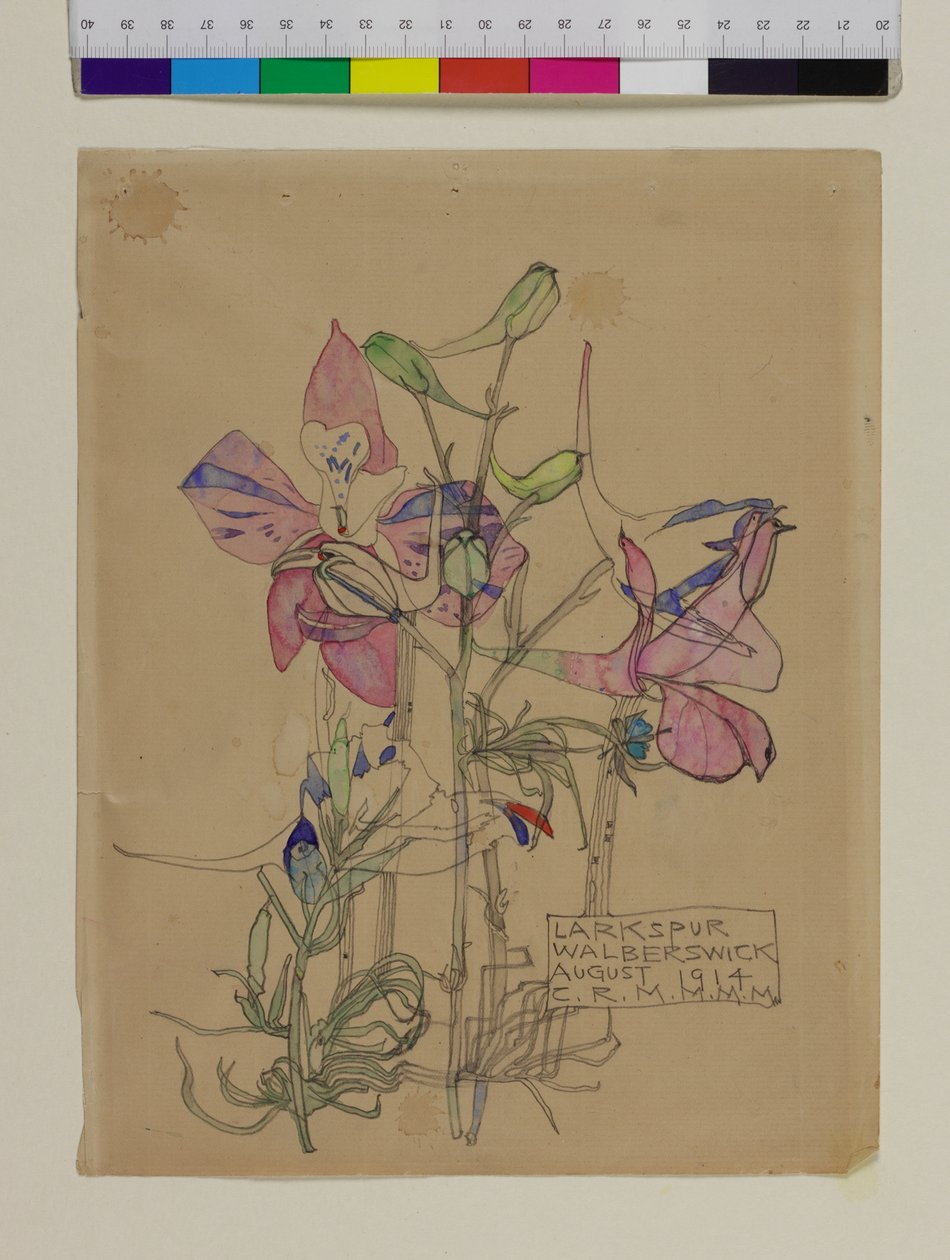 Larkspur, 1914 od Charles Rennie Mackintosh