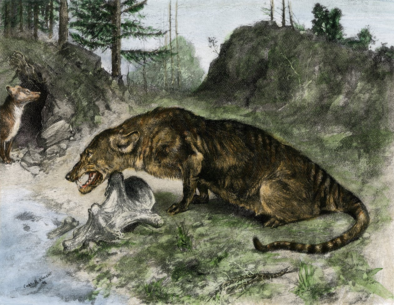Pravěk: mezonyx na břehu jezera Uintah v Utahu a Wyomingu (USA) (rytina) od Charles Robert Knight