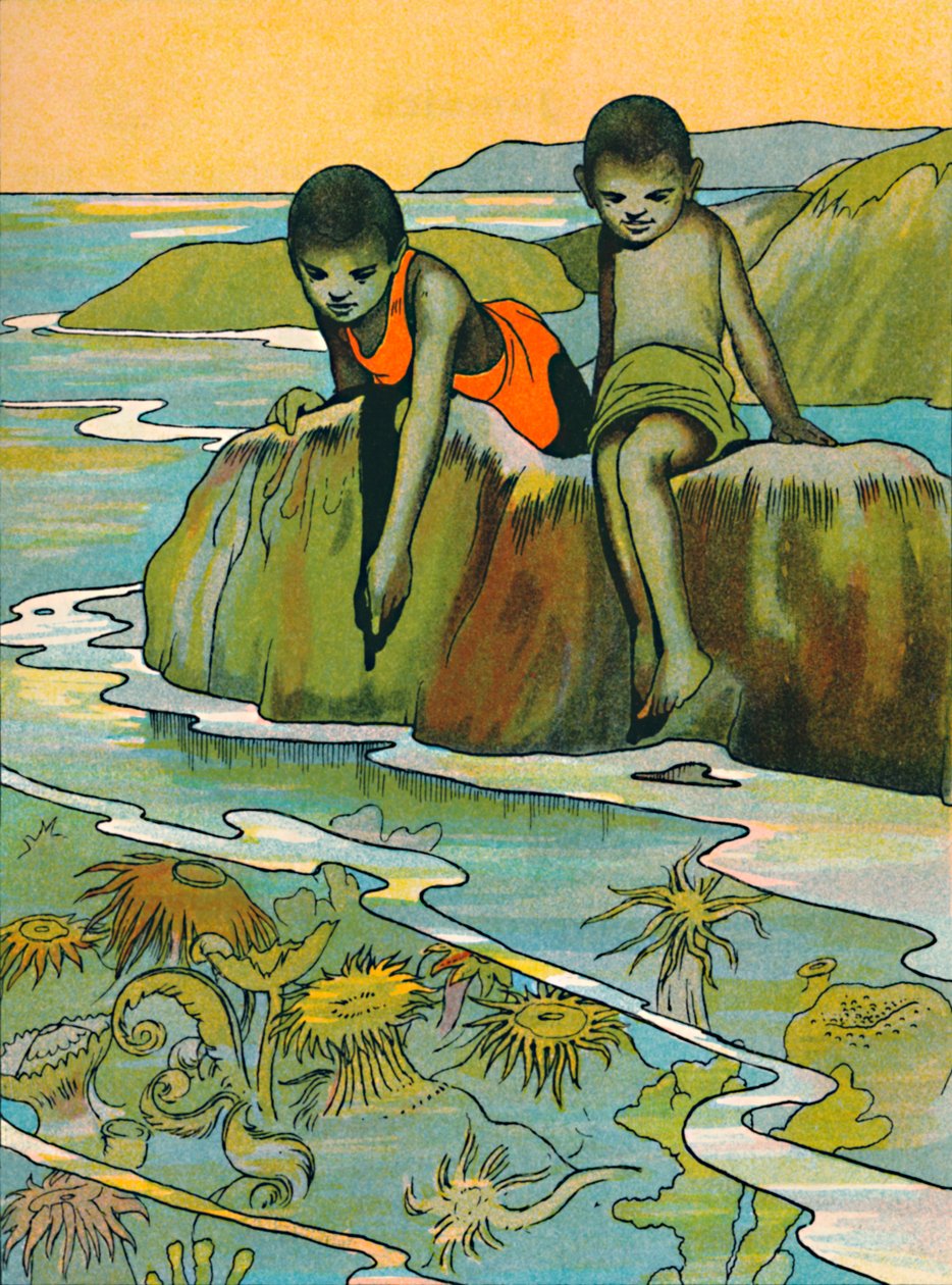 Zahrada v moři, 1912 od Charles Robinson