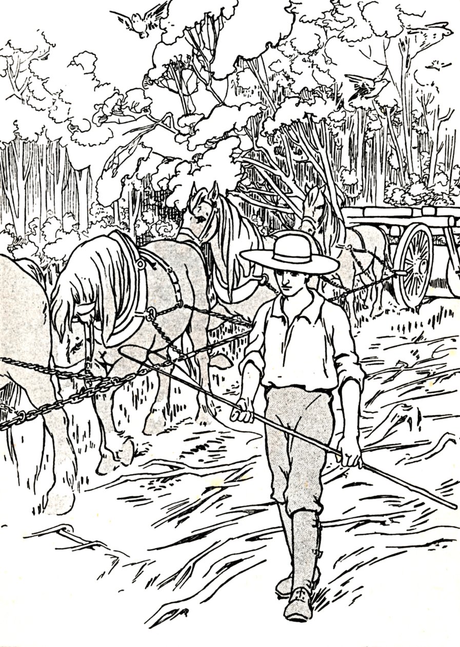 Osadník čistící svou zemi, 1912 od Charles Robinson