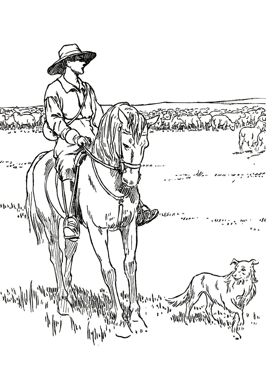 Ovčí stanice v Austrálii, 1912 od Charles Robinson