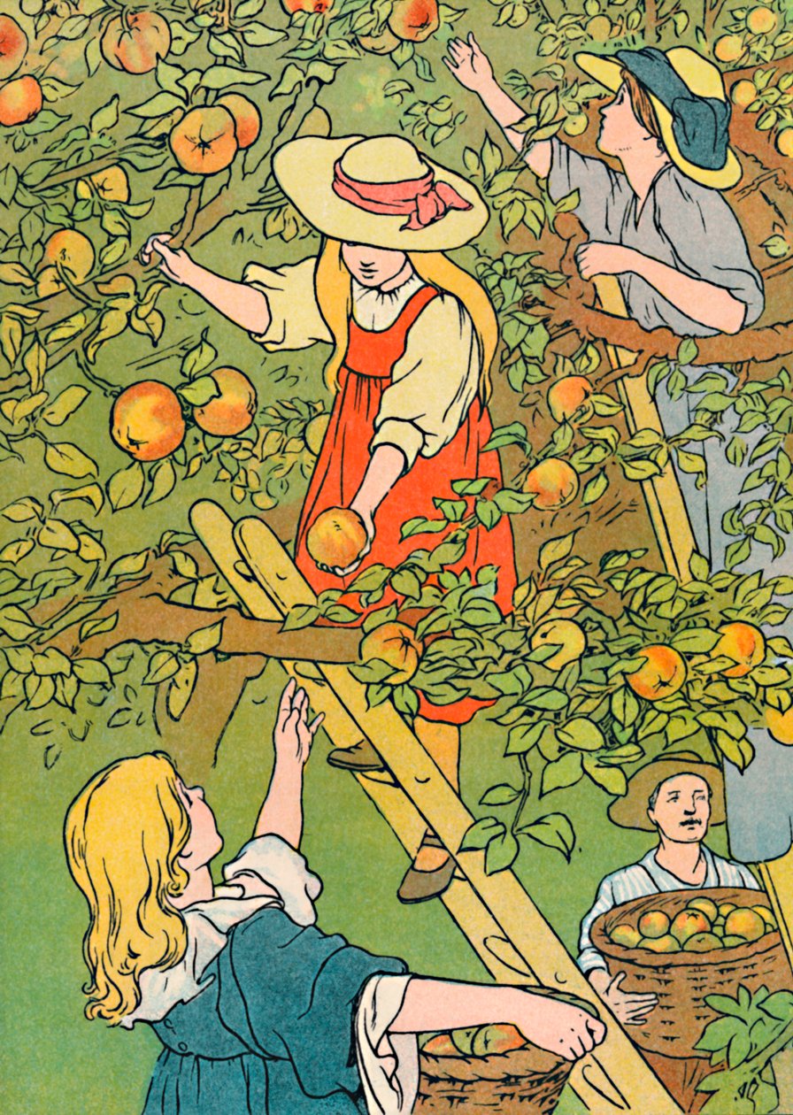 Sbírání ovoce, 1912 od Charles Robinson