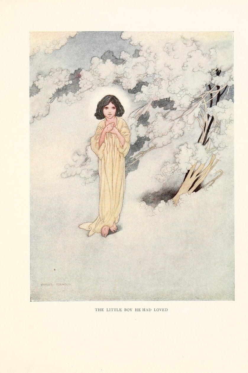 Malý chlapec, kterého miloval od Charles Robinson