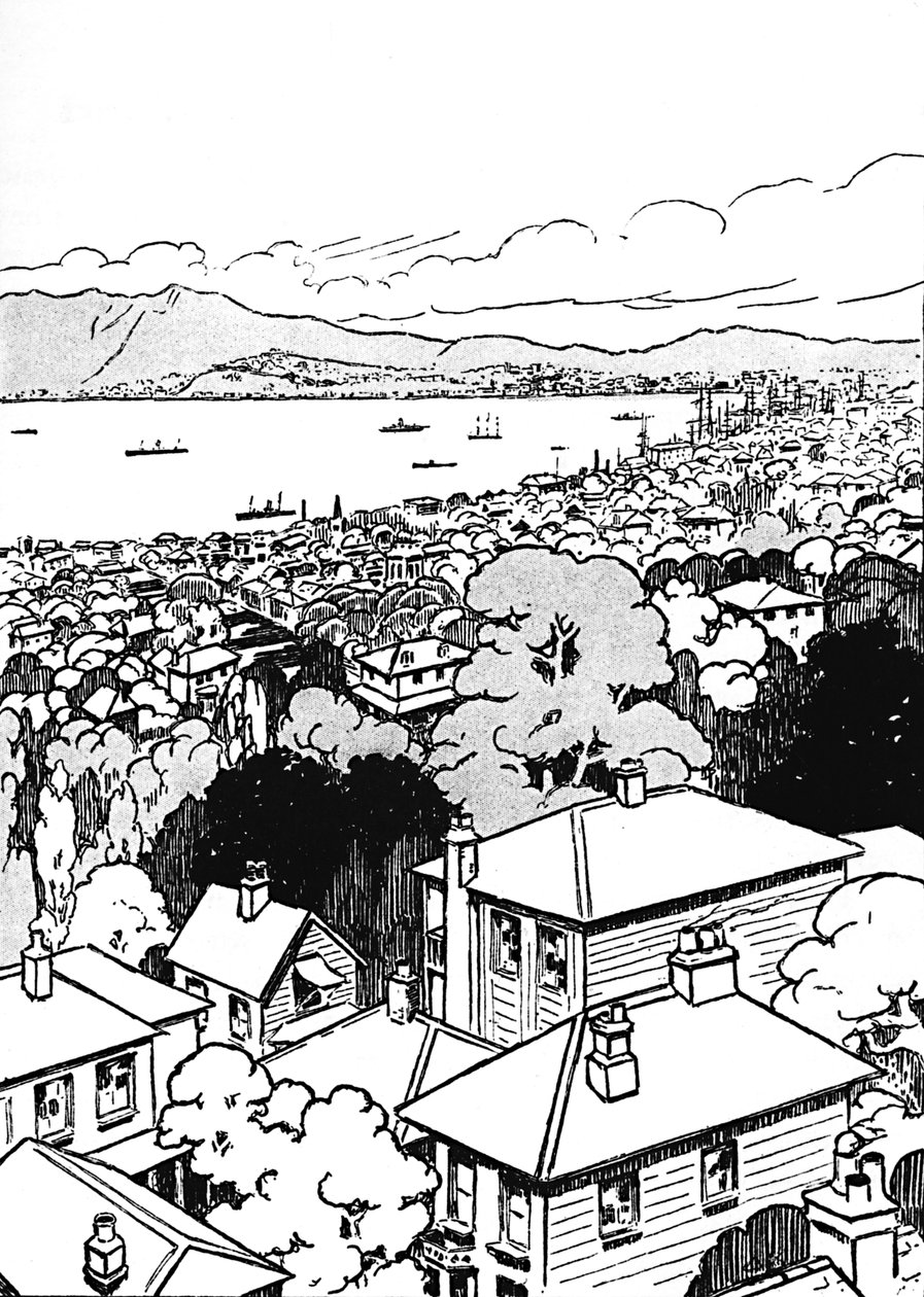 Wellington, 1912 od Charles Robinson