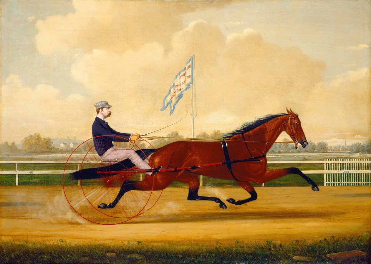 Budd Doble Driving Goldsmith Maid v Belmont Driving Park, 1876. od Charles S. Humphreys