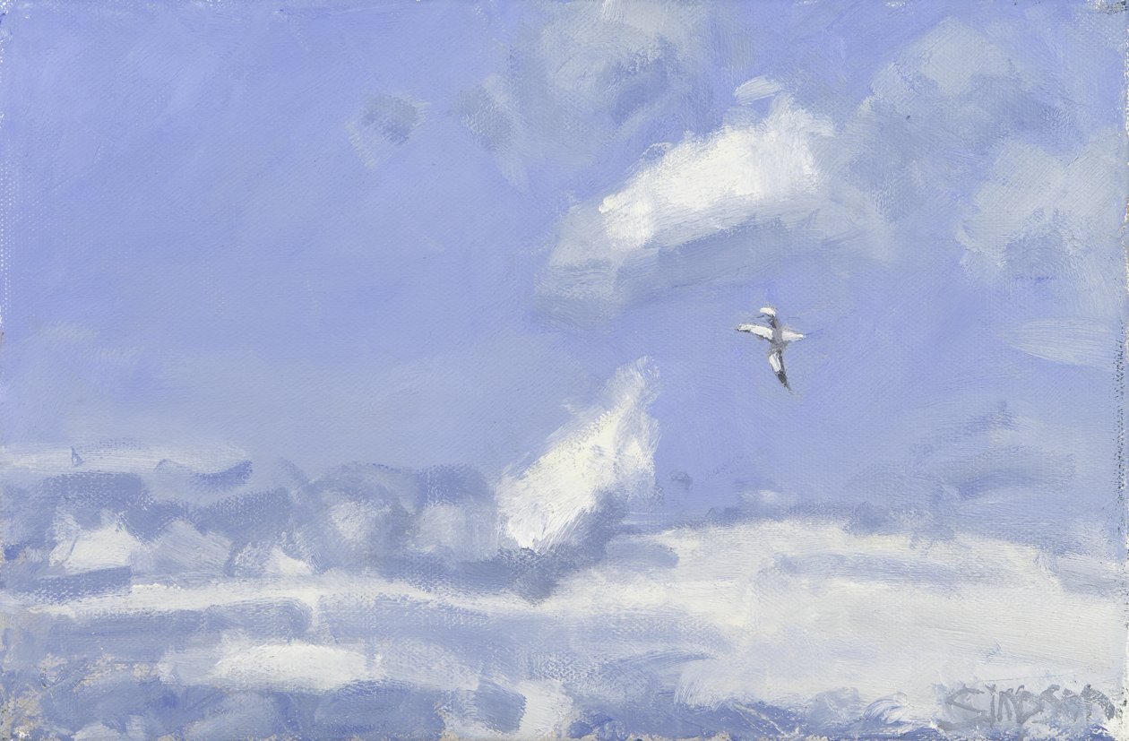 Gannet  Clouds, 2016 (olej na plátně) od Charles Simpson
