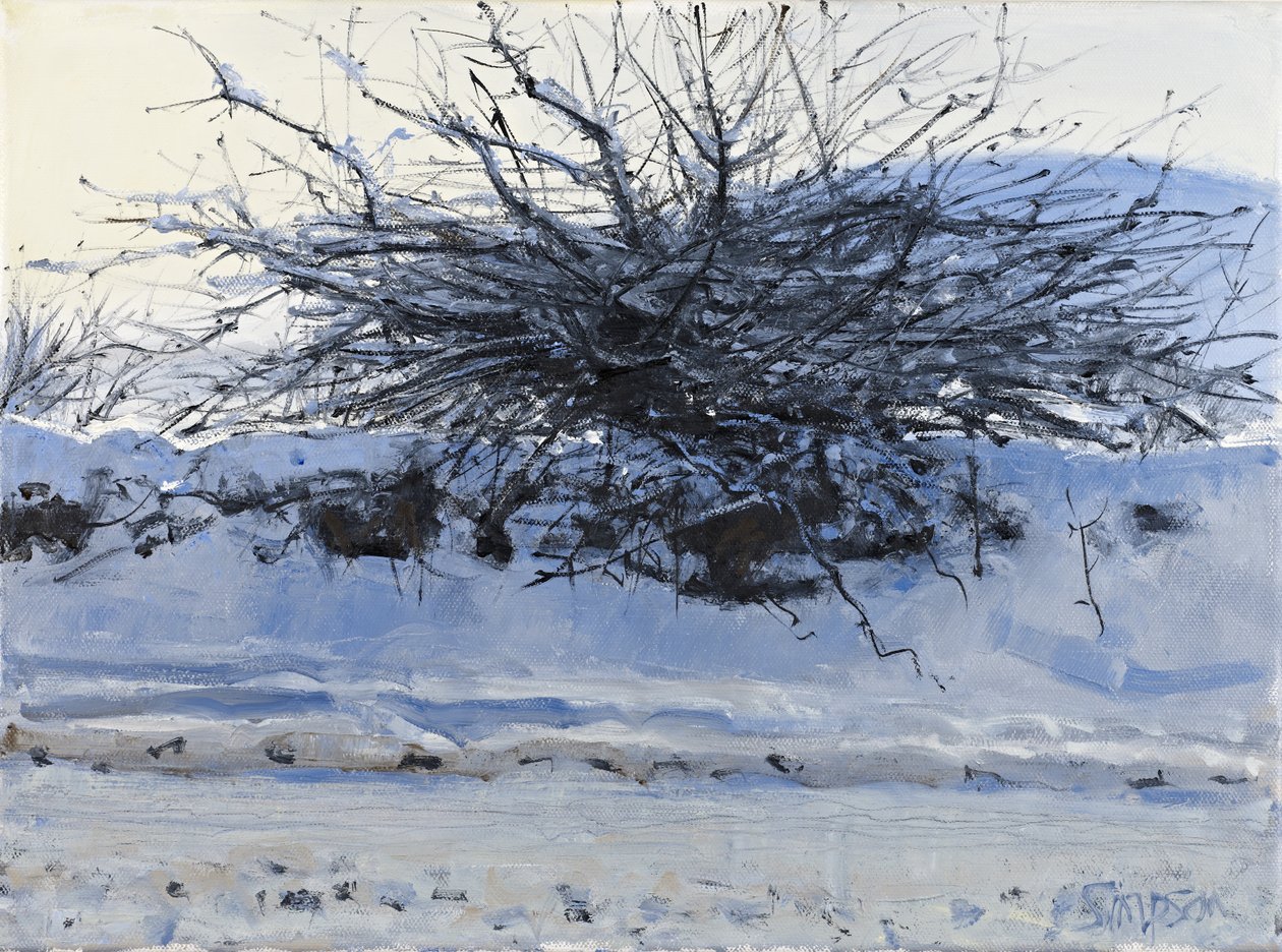 Hloh, 2011 (olej na plátně) od Charles Simpson