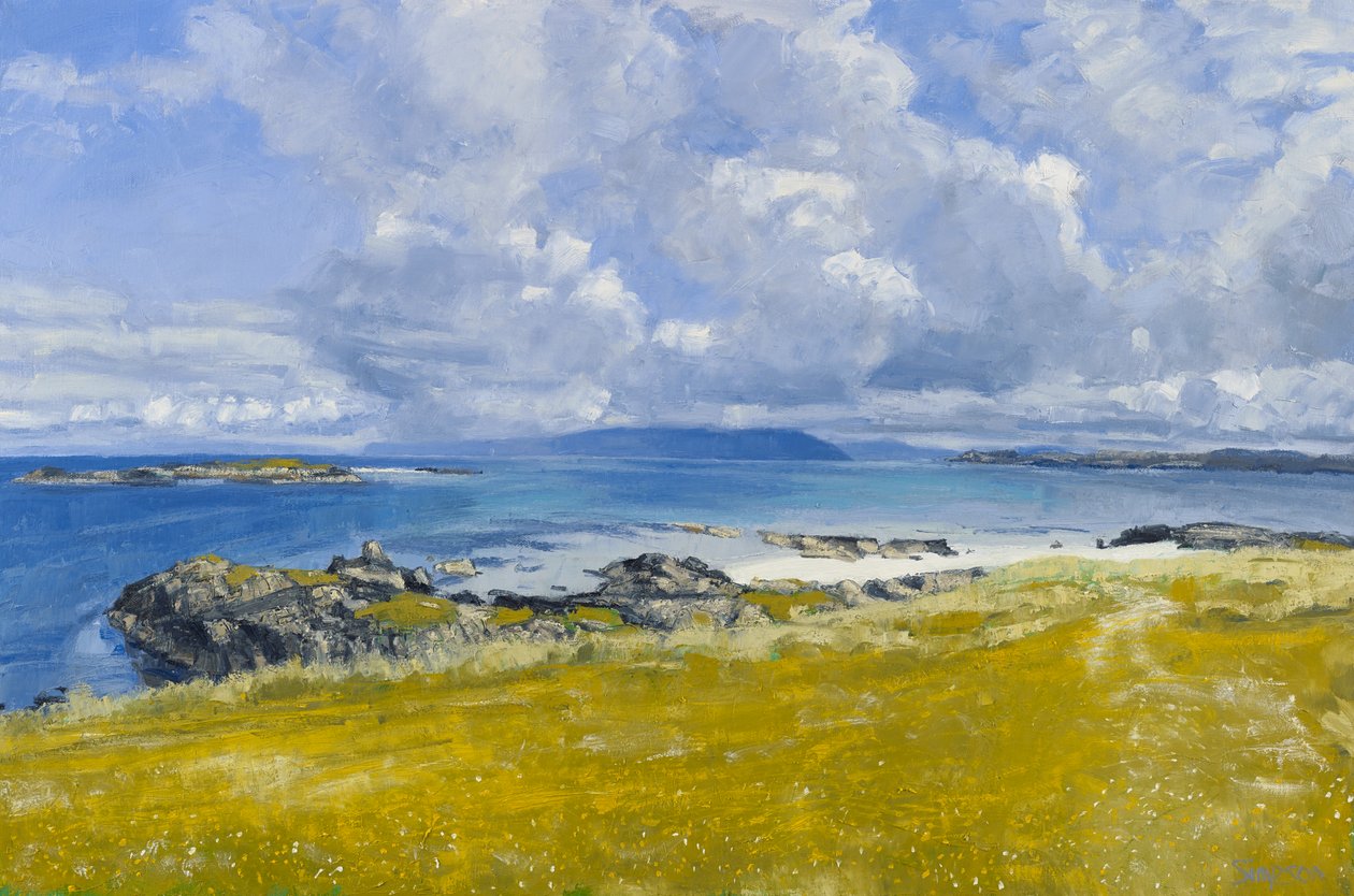 Severní pobřeží, Iona, 2015 (olej na plátně) od Charles Simpson