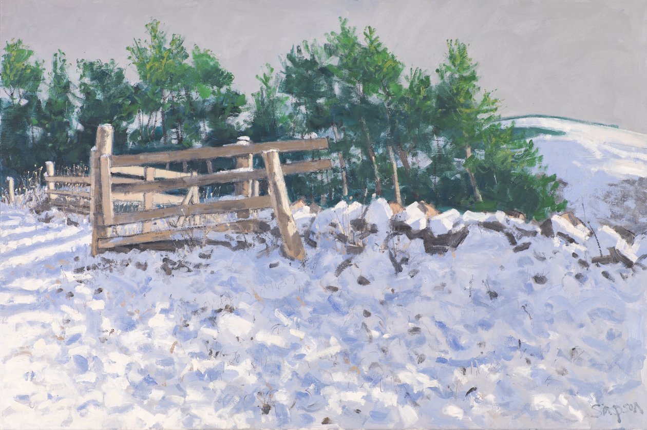 Malý les, Torwoodlee, 2017 (olej na plátně) od Charles Simpson