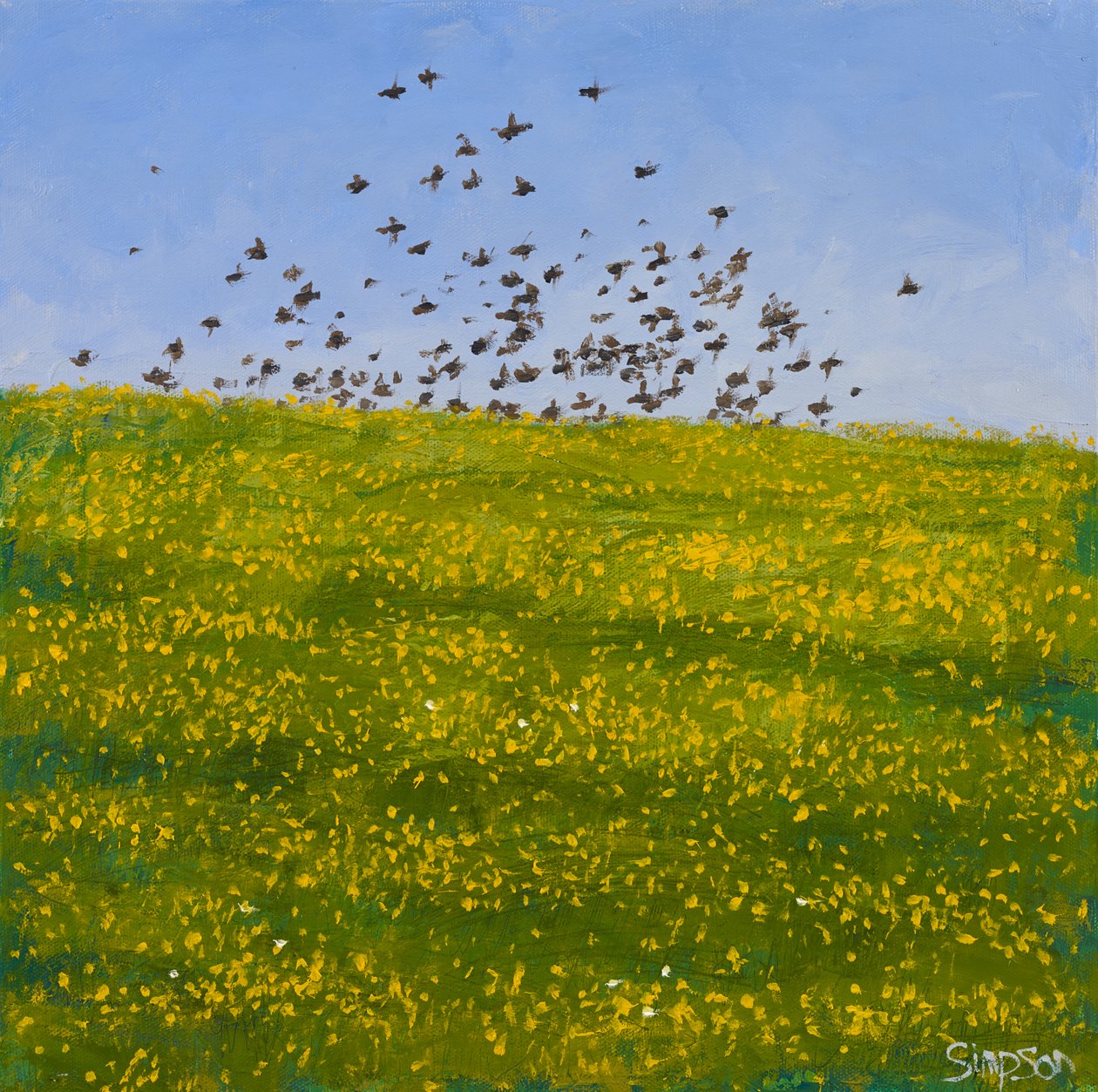 Starlings  Buttercups, Iona, 2015 (olej na plátně) od Charles Simpson