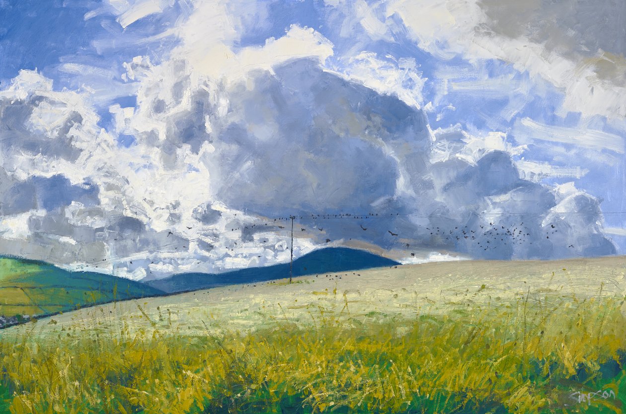 Strniště: Havrani a vrány, 2015 (olej na plátně) od Charles Simpson