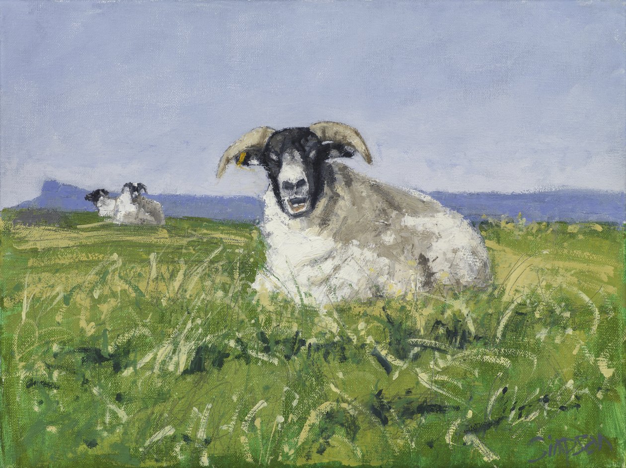 Ovce ze západního pobřeží, 2017 (olej na plátně) od Charles Simpson