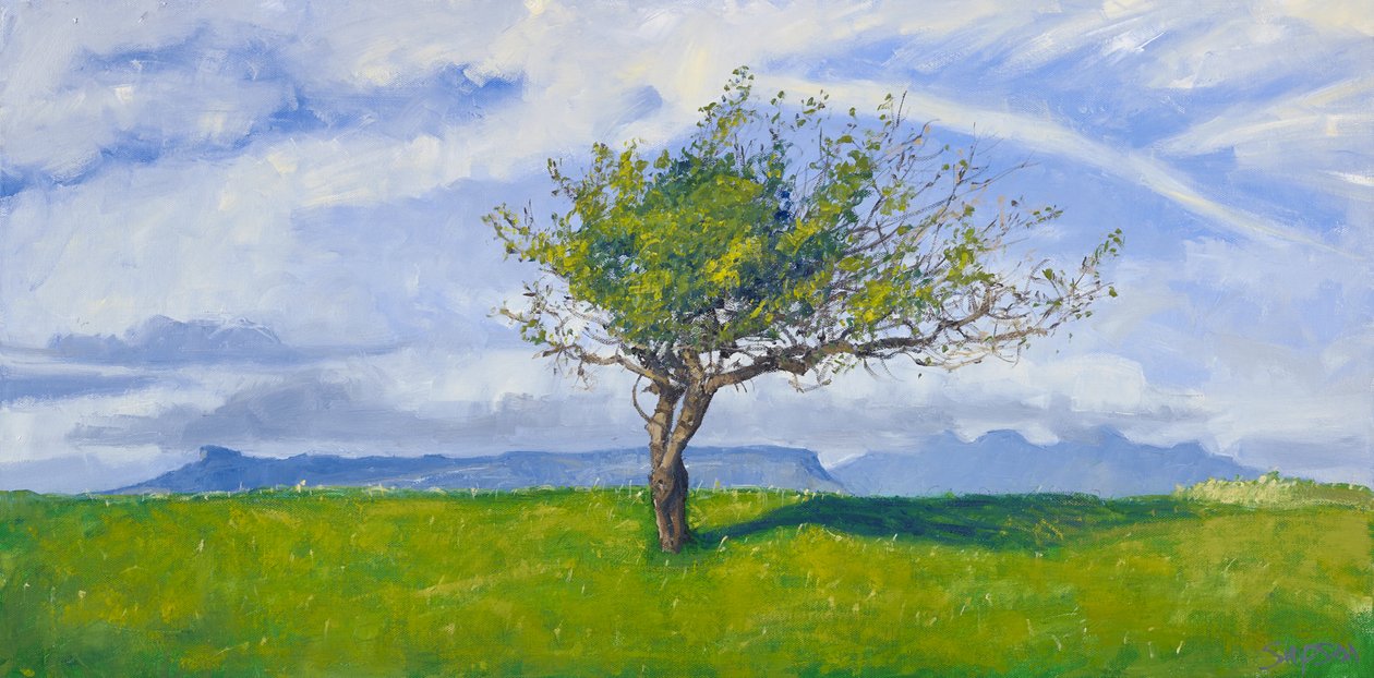 Strom na západním pobřeží, 2015 (olej na plátně) od Charles Simpson