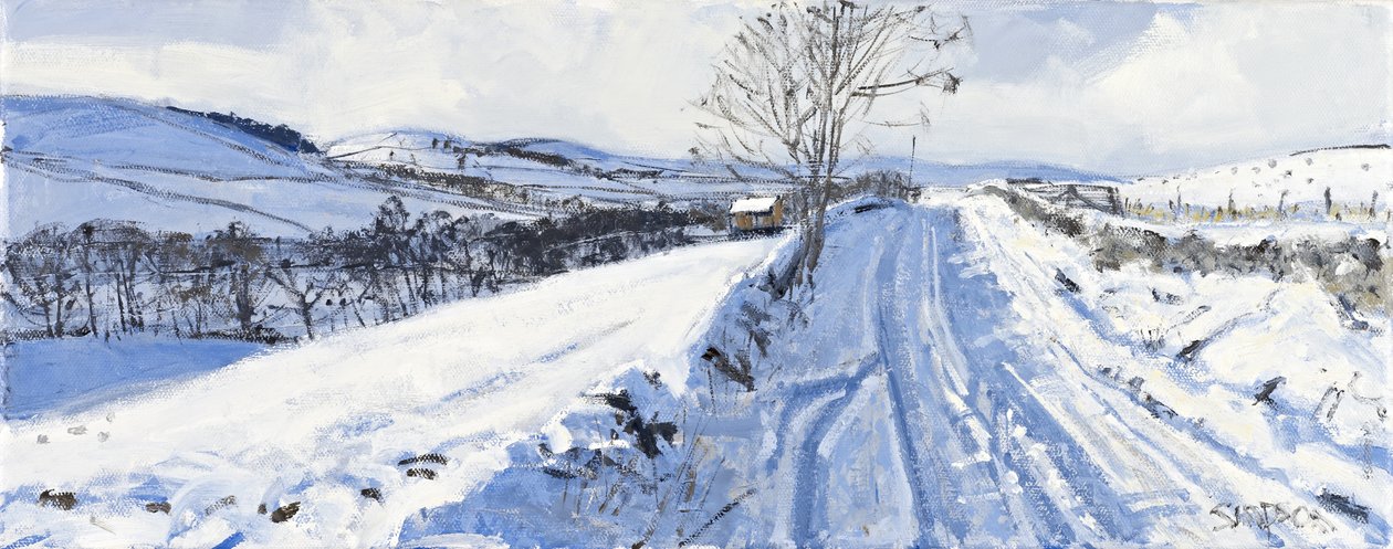 Zimní údolí, 2011 (olej na plátně) od Charles Simpson