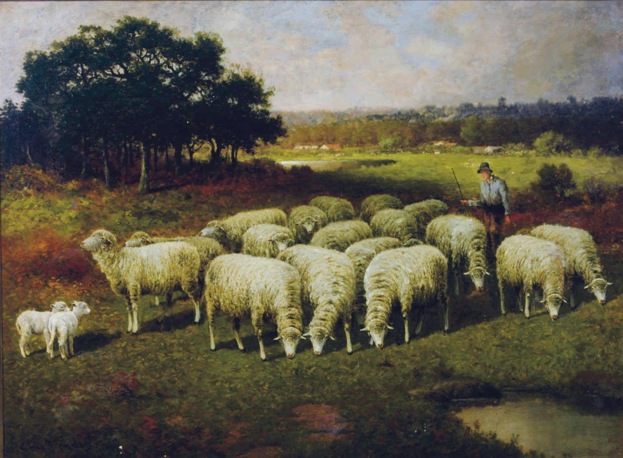 Pastýř se svými ovcemi na poli, 1898 od Charles T. Phelan