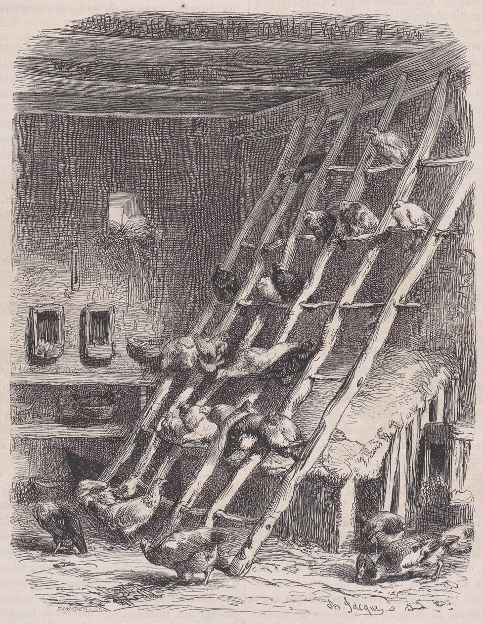 Návštěva farmy - The Roost, z Le Magasin Pittoresque, ca. 1852. od Charles Tamisier