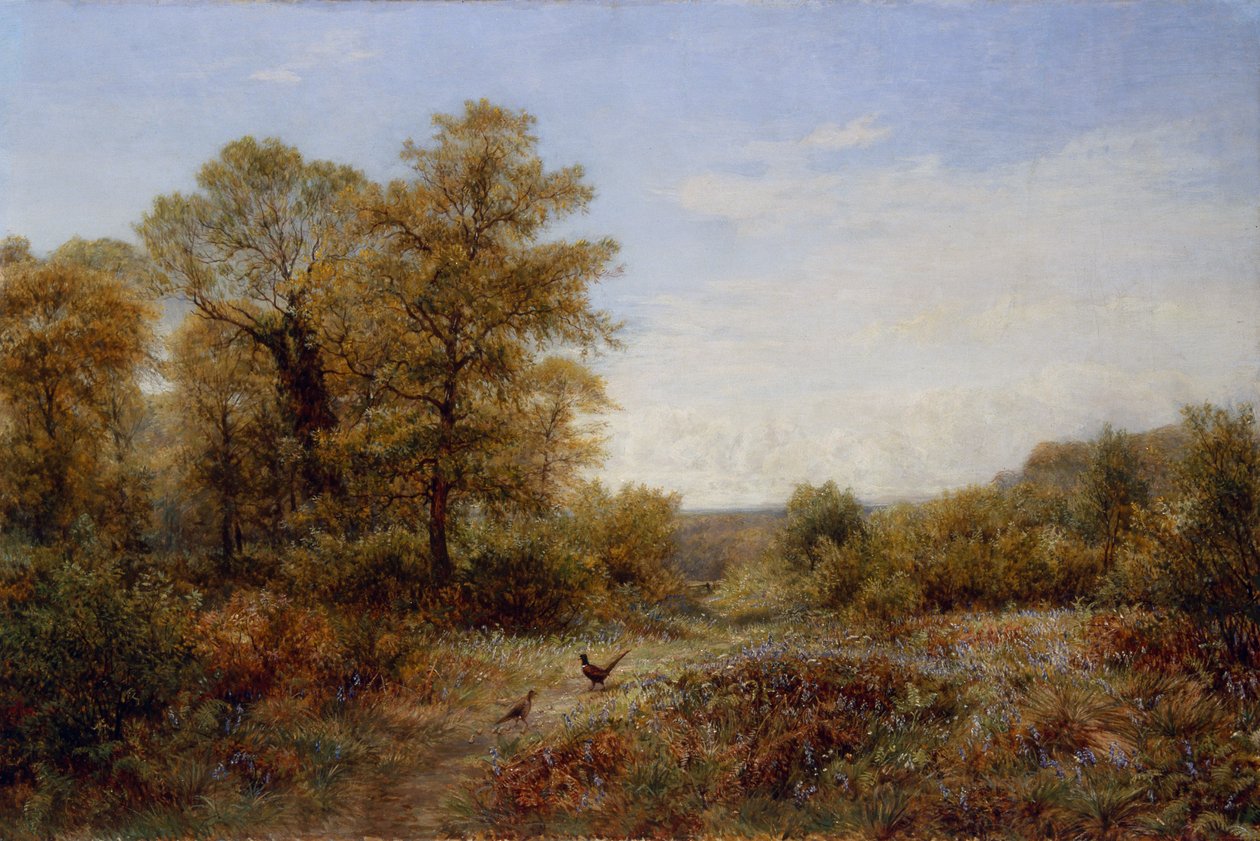 Bažantí domov (olej na plátně) od Charles Thomas Burt