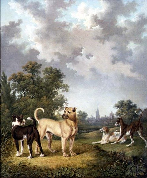 Psi v krajině, cca 1820 (olej na plátně) od Charles Towne