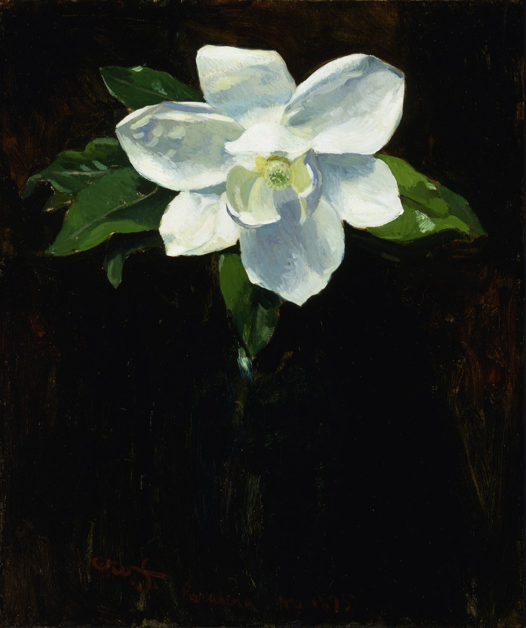 Magnolia od Charles Walter Stetson