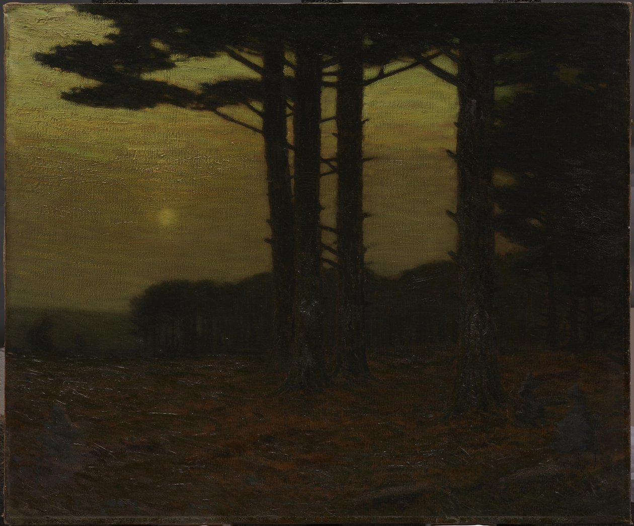 Sentinelové od Charles Warren Eaton