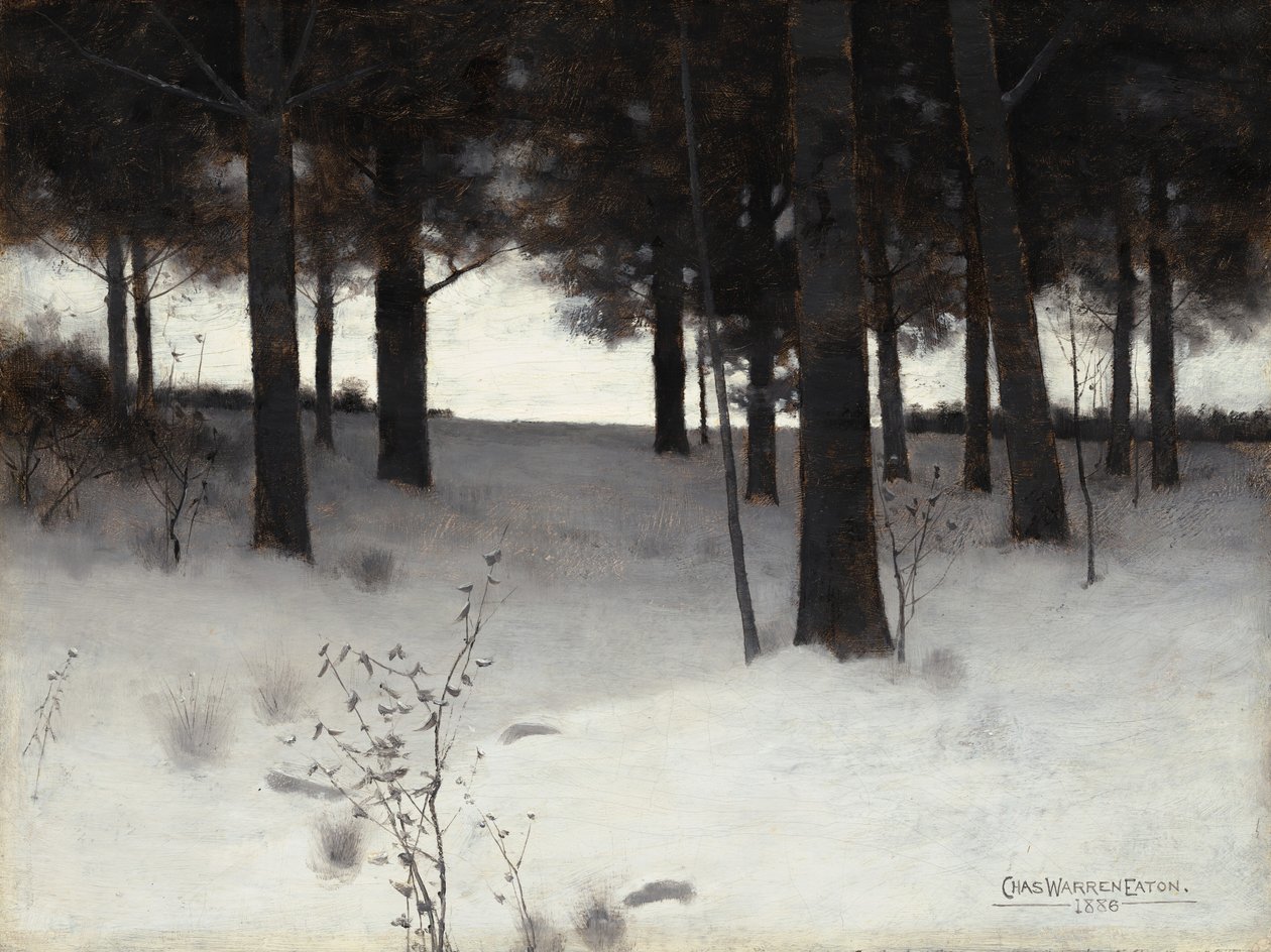 Lesy v zimě od Charles Warren Eaton