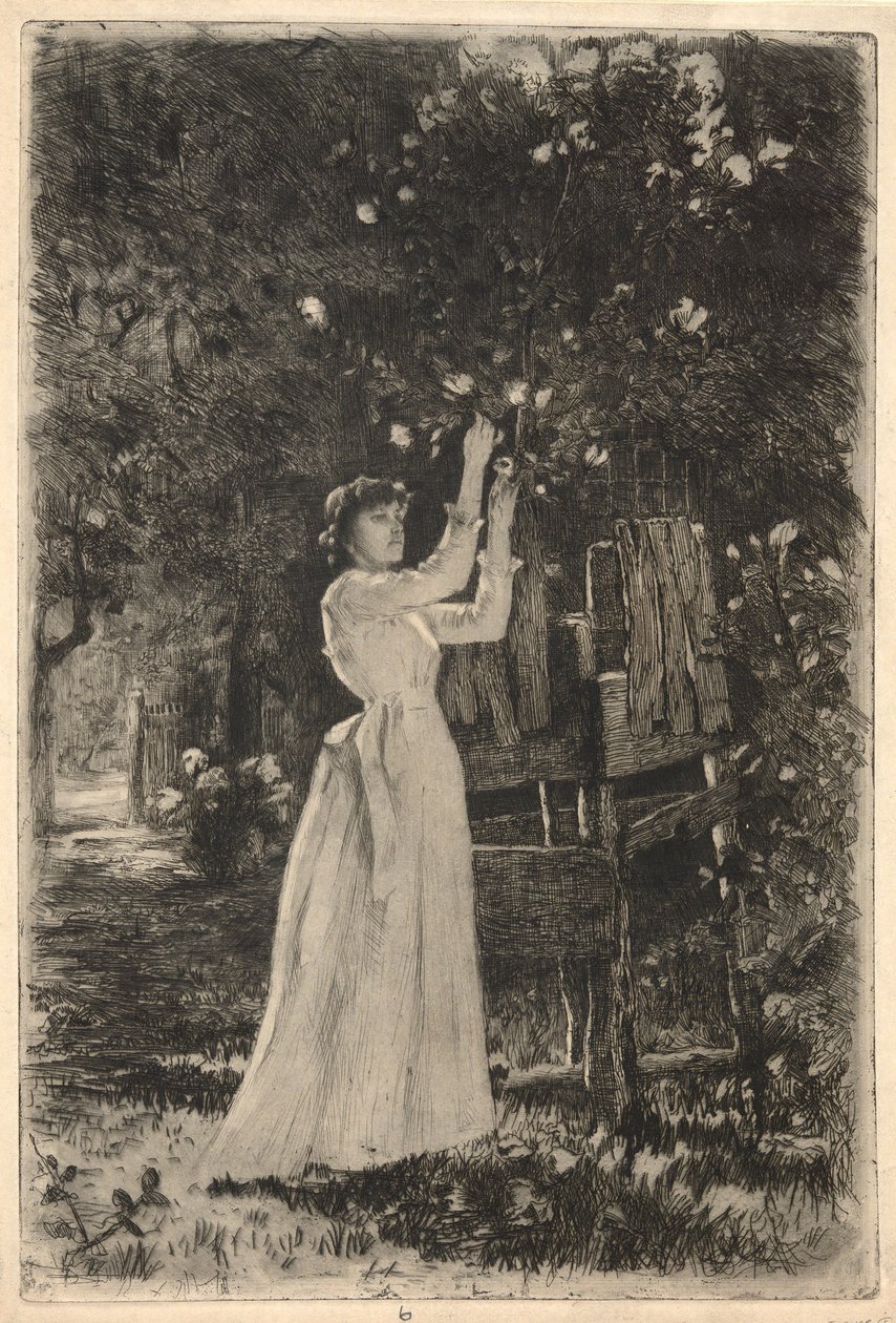 Mladá žena sbírá květy ze stromu od Charles Yardley Turner
