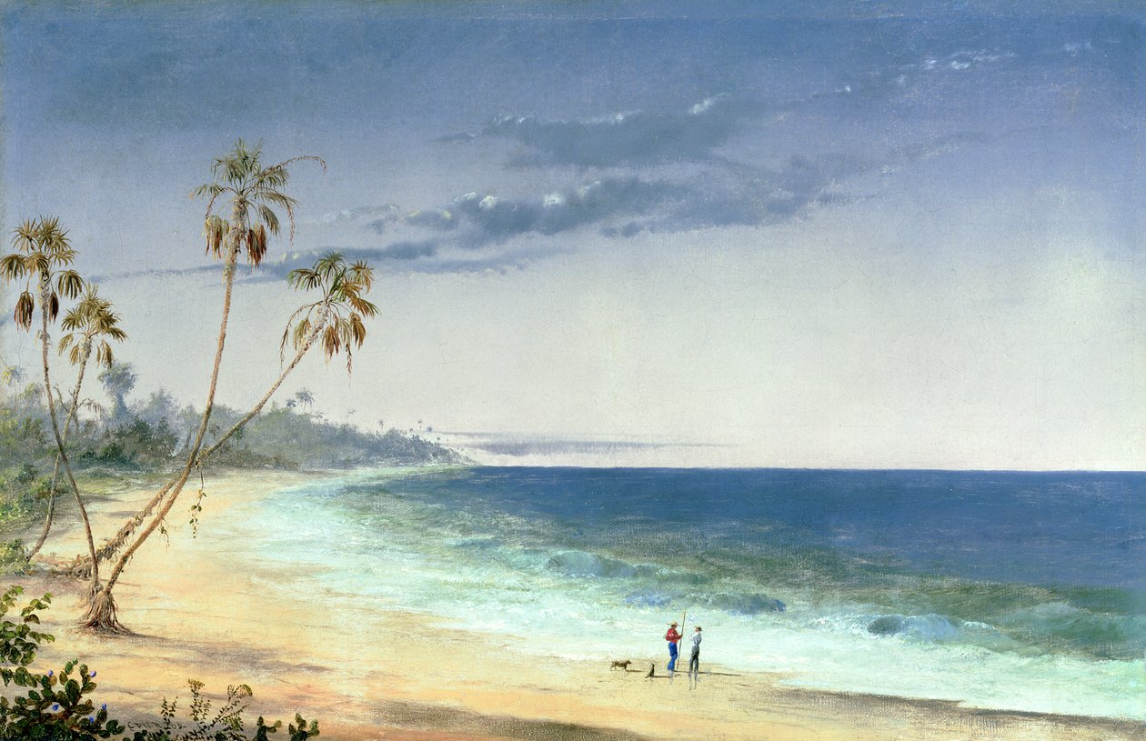 Kubánská krajina, 1866 od Charles de Wolfe Brownell