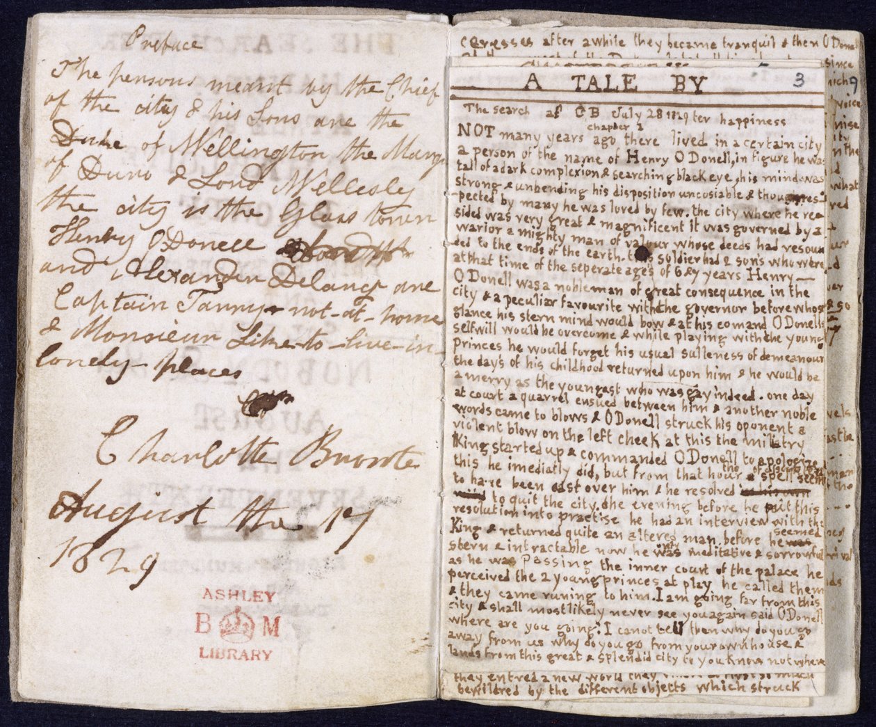 "Hledání štěstí od Charlotte Bronte