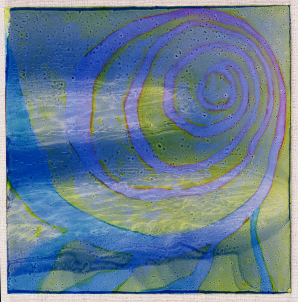 Boodhoo Lagoon, 2000 (olej na gesso) od Charlotte Johnstone