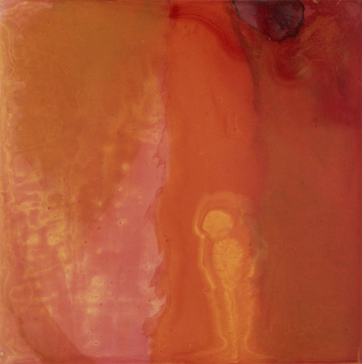 Cheese Fish, 1997 (olej a glazura na gesso desce) od Charlotte Johnstone