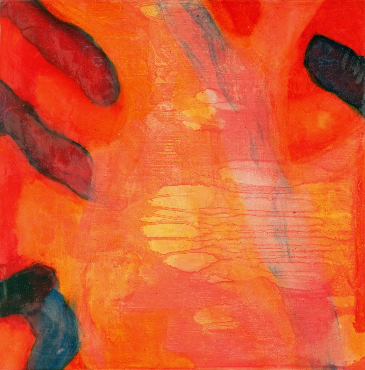 Clown Fish II, 1997 (olej a glazura na gesso desce) od Charlotte Johnstone