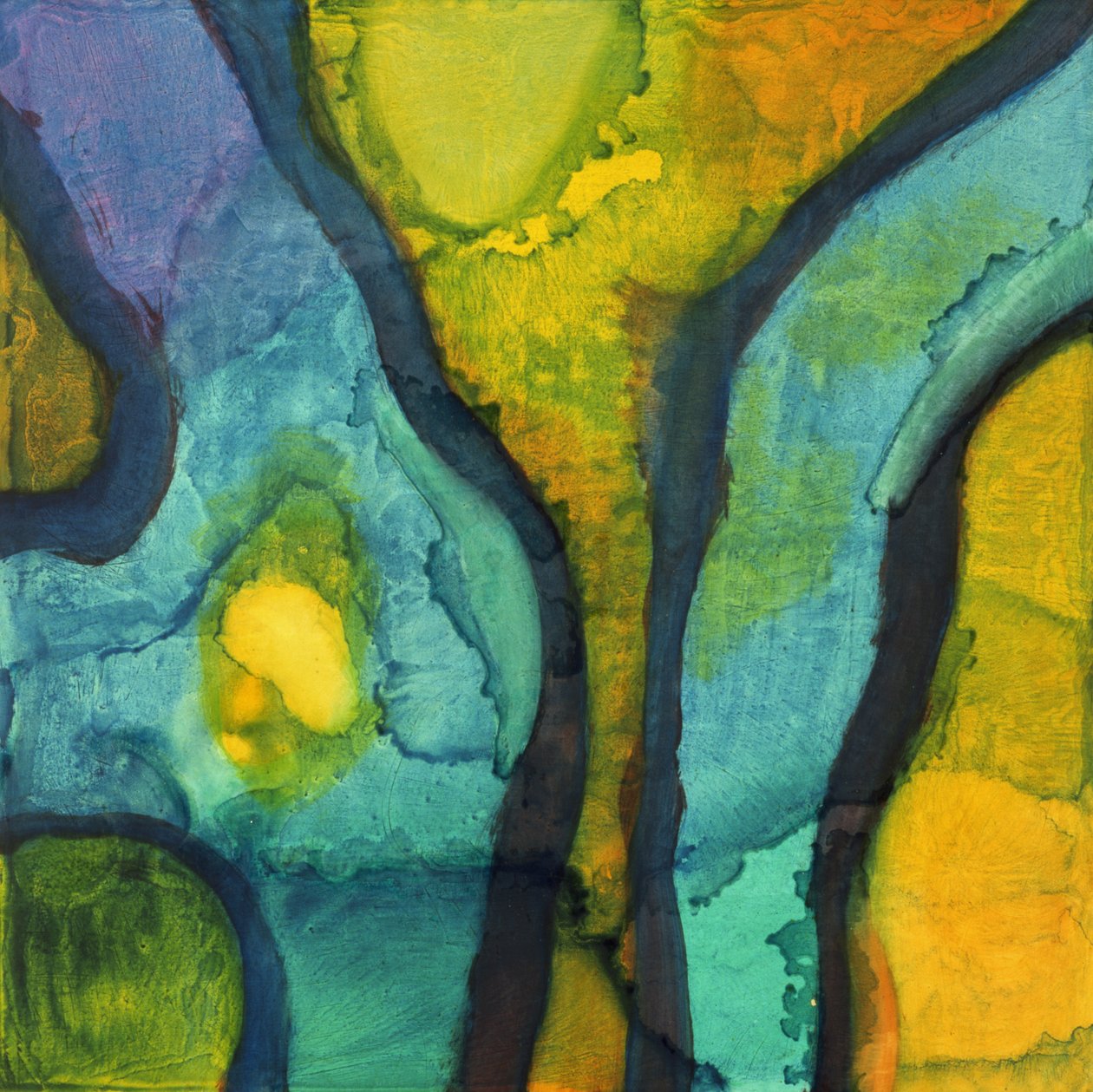 Goby, 1997 (olej a glazura na gesso desce) od Charlotte Johnstone
