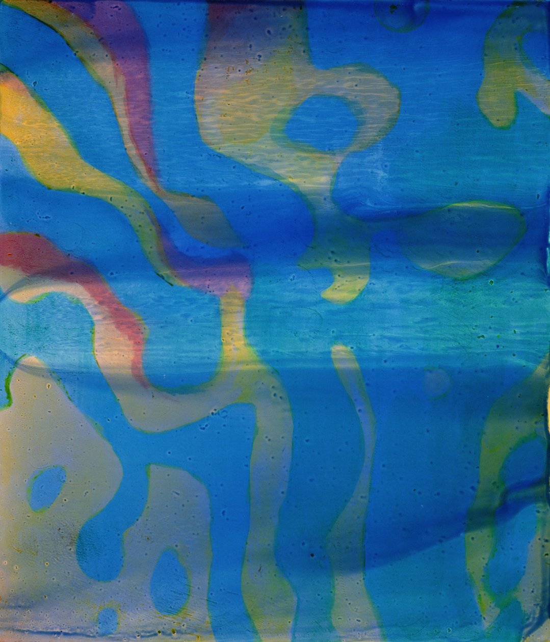 Indian Swarthy, 2000 (olej na gesso) od Charlotte Johnstone