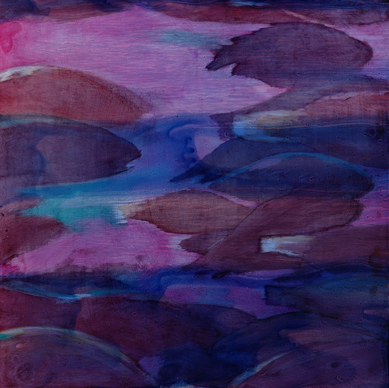 Purple Parrots VI, 2000 (olej na gesso) od Charlotte Johnstone