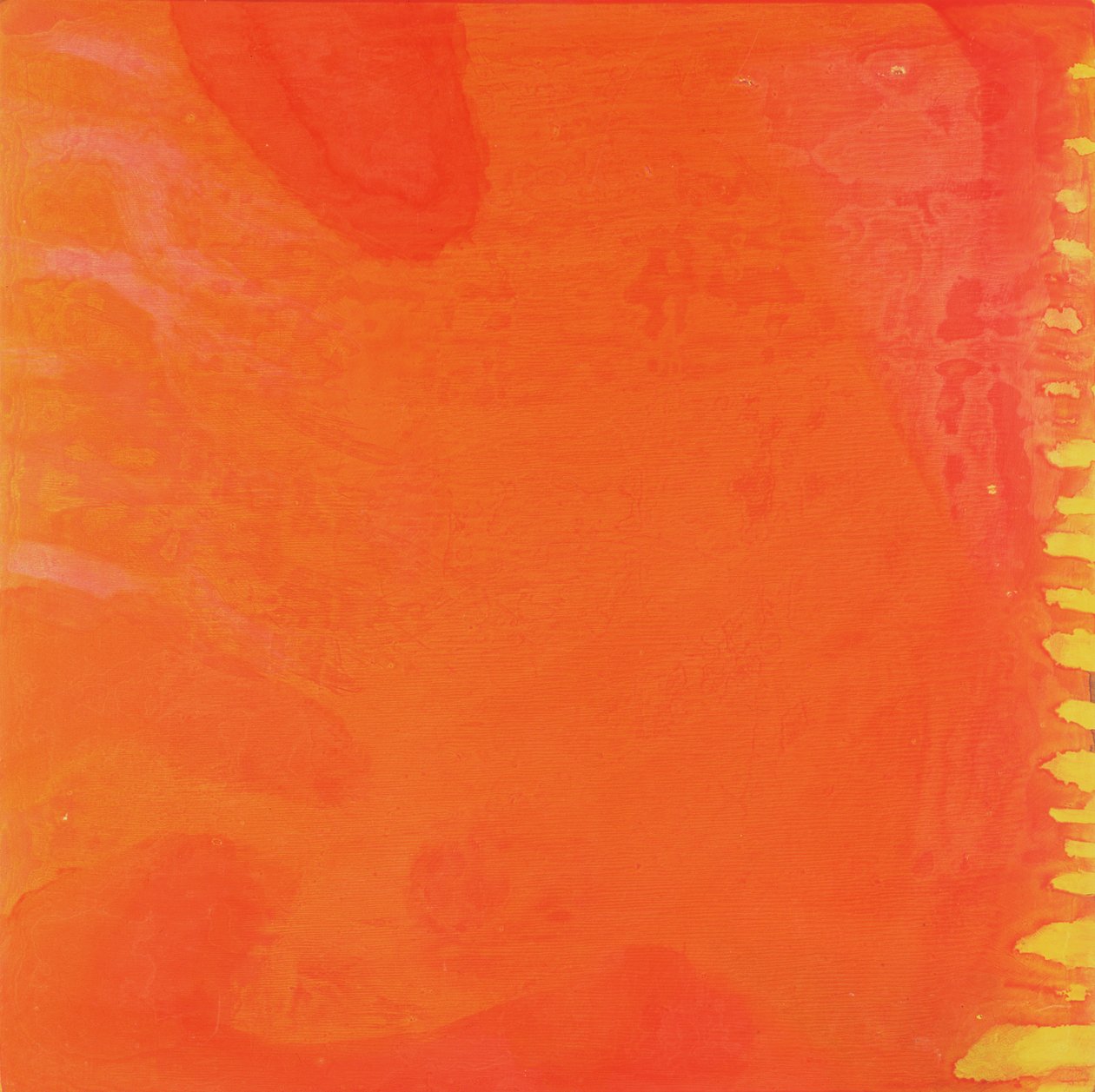 Králičí pomeranč, 1997 (olej a glazura na gesso desce) od Charlotte Johnstone