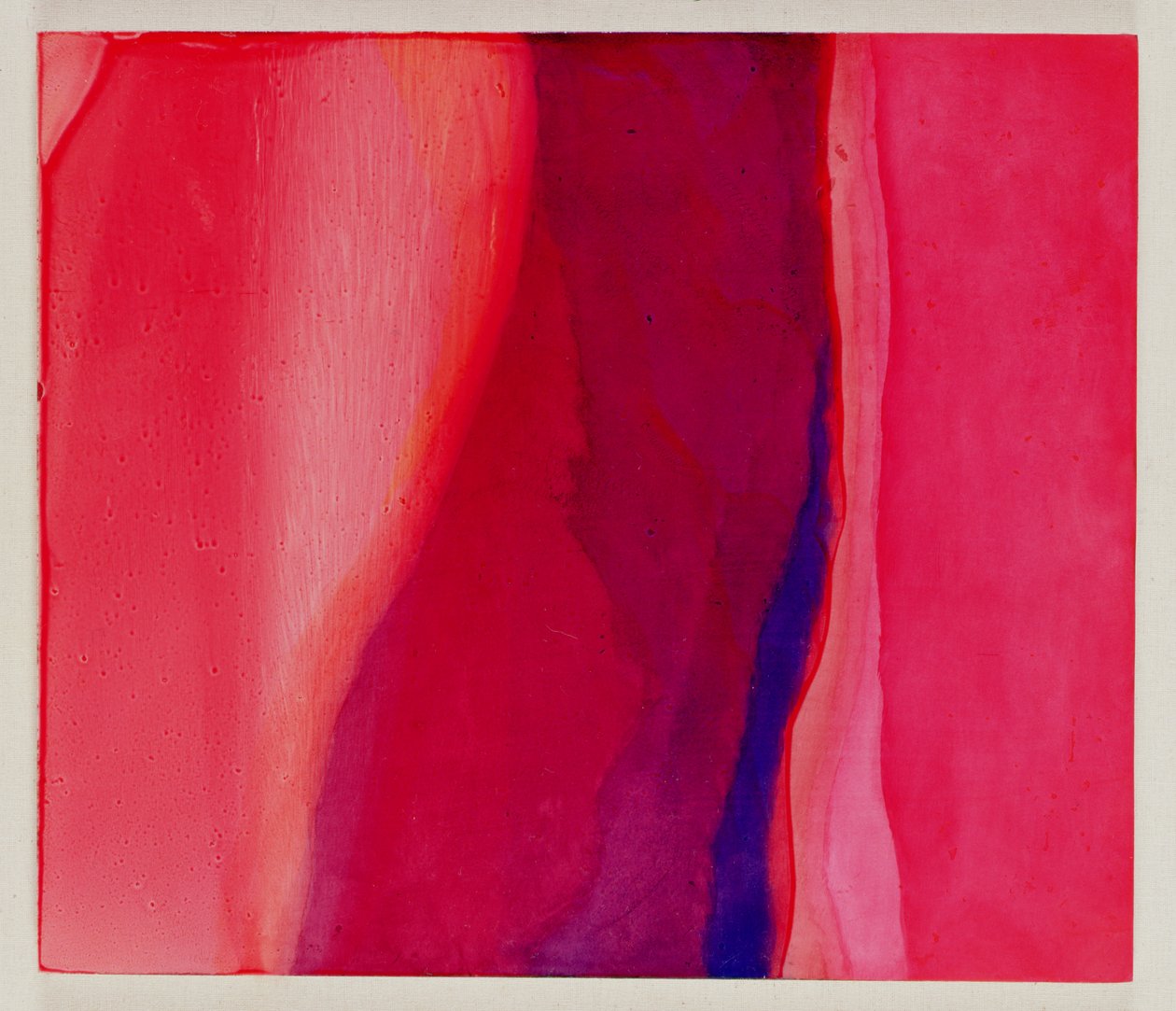Sari Fish, 2000 (olej na gesso) od Charlotte Johnstone