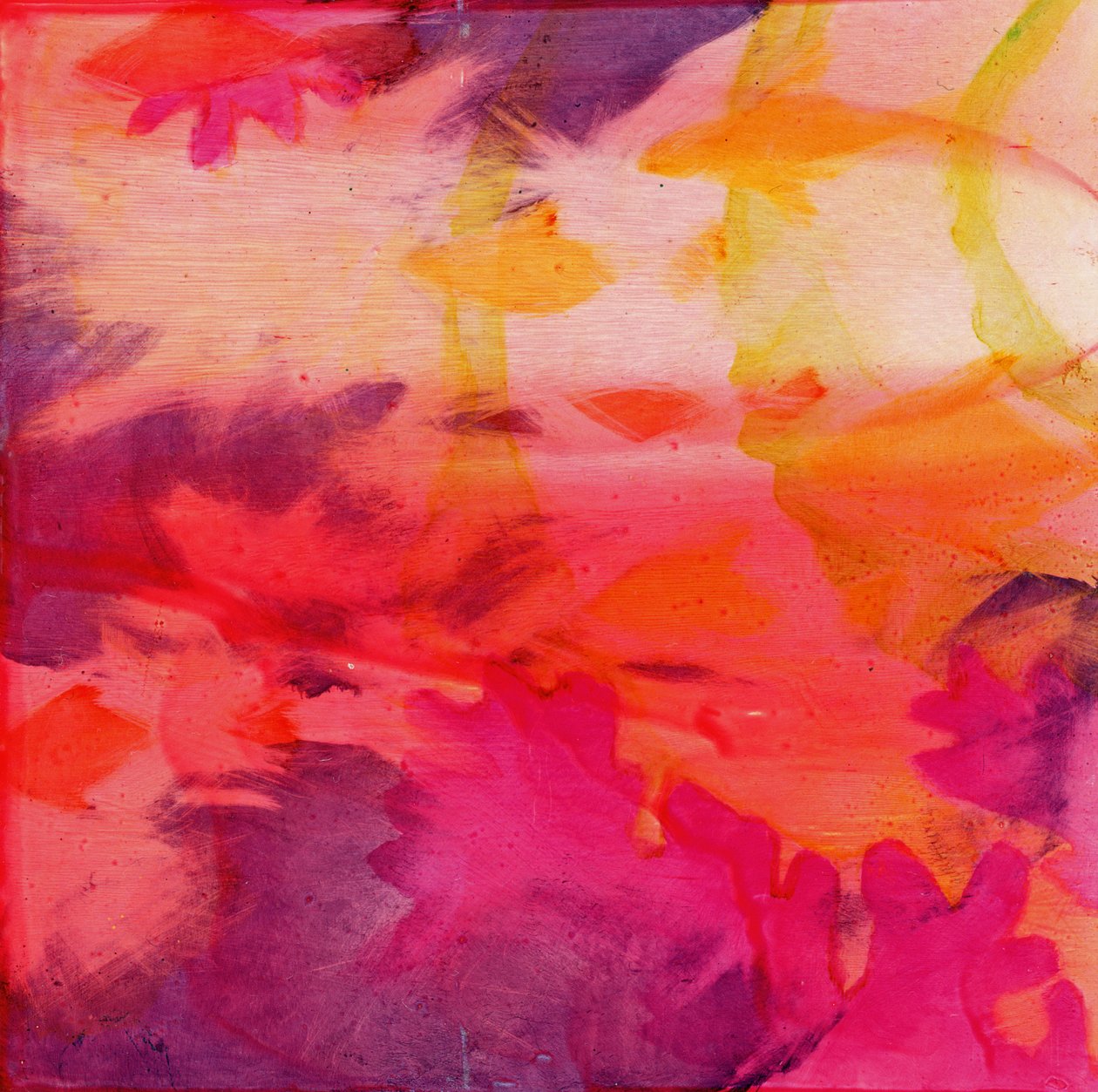 Vacos Fish, 2000 (olej na gesso) od Charlotte Johnstone