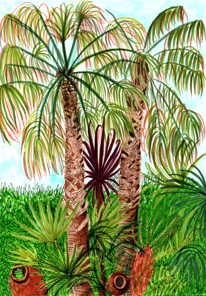 Barcelona Palms, 2017 (štětcové pera) od Charlotte Orr