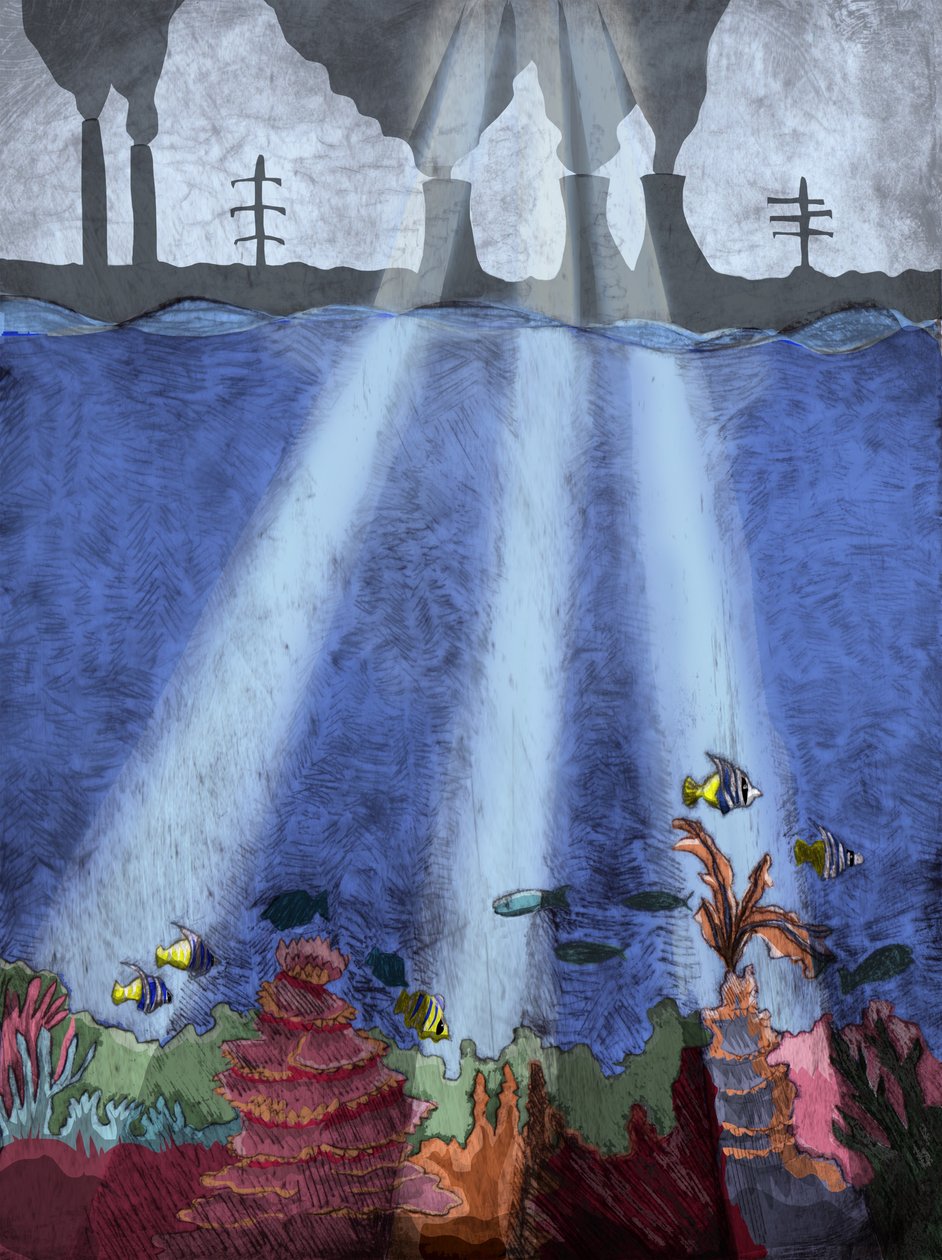 Coral Reef, 2013 (leptání suchou jehlou a digitální) od Charlotte Orr