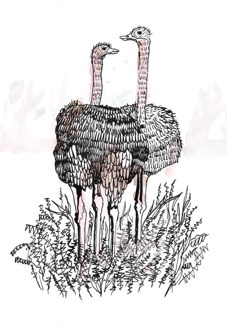 Flamingos, 2018 (pero a inkoust) od Charlotte Orr
