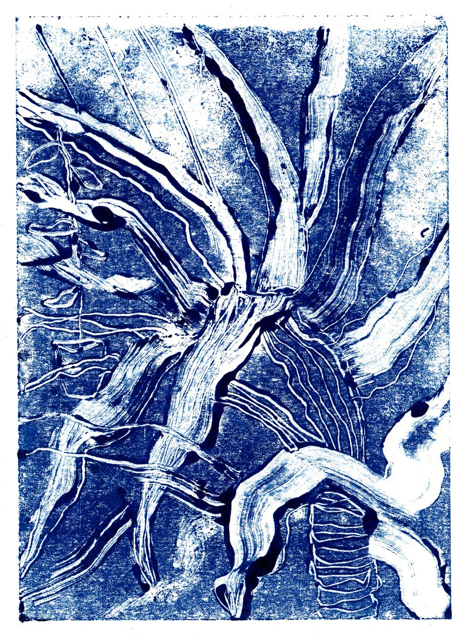 Inky Plants č. 2, 2019 (monotisk) od Charlotte Orr