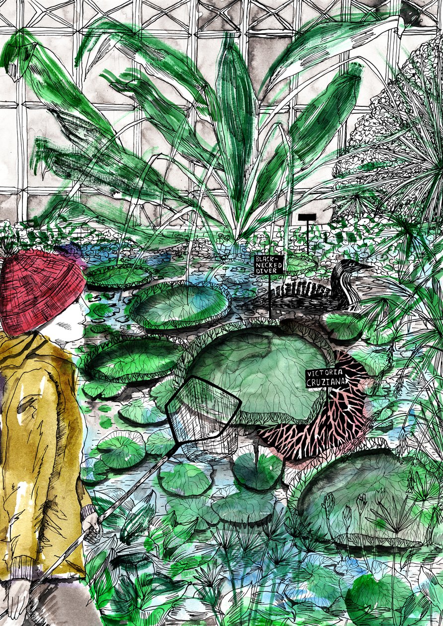 Botanická zahrada v Oxfordu, 2020 od Charlotte Orr